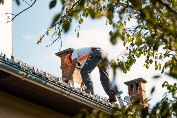 Residential Roof Replacement in Dardanelle, AR