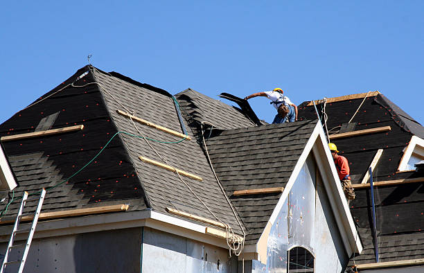 Best Roof Gutter Cleaning  in Ddanelle, AR