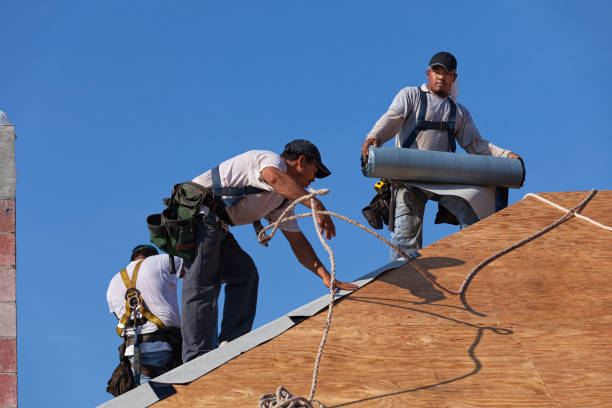 Best Metal Roofing Contractor  in Ddanelle, AR