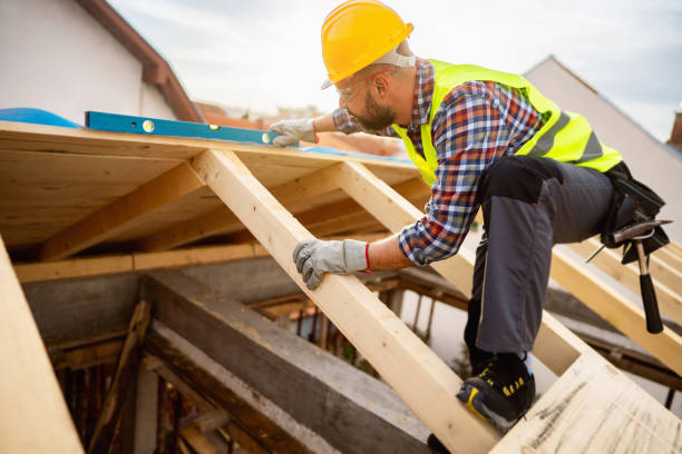 Best Roof Maintenance Services  in Ddanelle, AR