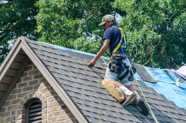 Gutter Installation and Roofing in Dardanelle, AR